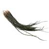 Drawup Peacock Herl Feather Ribbon Pack 200 pz per lo sviluppo di esche da pesca a mosca e applicazioni decorative non commerciali