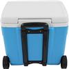 AOWINHIT Scatola Frigo da Campeggio All'aperto, Resistente, Portatile, Isolata, 30 Litri, per Pesca, Picnic, Barbecue e Avventure in Campeggio