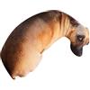 Generico Dog Stuffed Animal Toy,3D Realistic Plush Toy Doll | Realistic Stuffed Dog Plush - for Nap Home Decor Bedroom Bookshelf Chair Photo Prop