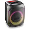NGS ALTOPARLANTE PORTATILE 80W, AUTONOMIA 10H, LED, INGRESSO BT,TWS,USB,TF,AUX CON INGR MICR, NERO - WILDSWAGGO