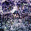 Mike Armine Verse & Cleansing Undertones of Wake/Lift (CD)