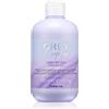 Inebrya Greylosophy Grey By Day Shampoo 300 ml