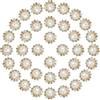 PATIKIL 12mm Perle di Girasole da Cucire Strass, 200 Pz Decorazioni con Paillettes Cristallo Vetro Base Metallo Fiore Artiglio Strass per Abbellire Abiti Artigianato, Beige