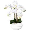 Gasper Orchidea Phalaenopsis Grande con vaso in pvc H75 cm 5 Fiori Bianco