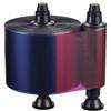 Evolis R3511 Nastro 5 pannelli a colori YMCKO (500 stampe)
