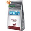 Farmina Dog Vet Life Hepatic - Offerta [PREZZO A CONFEZIONE] Quantità Minima 2, Sacco Da 12 Kg