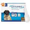 Virbac Effipro Dog Taglia XL (40-60Kg) - Offerta [PREZZO A CONFEZIONE] Quantità minima 4, Confezione da 4 Pipette