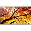 Sharp Display Solutions Sharp MultiSync M322 Pannello piatto per segnaletica