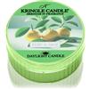Kringle Candle Yuzu & Sage 42 g