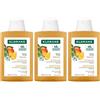 Klorane Shampoo al Mango 200ml - Capelli secchi 3x200 ml