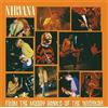 Nirvana From the Muddy Banks of the Wishkah (CD) Album