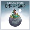Cat Stevens King Of A Land (Vinyl LP) 12" Album