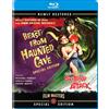 Beast From Haunted Cave + Ski Troop Attack Double Feature (Blu-ray)