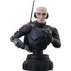 DIAMOND SELECT TOYS SW CLONE WARS ANIMATED ECHO 1/7 SCALE BUST
