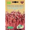 Germisem Biologico Amaranthus Micro-Greens Amaranth Semi 1 g