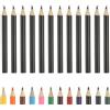 PATIKIL 12 Pezzi Matite Colorate Matite Da Disegno Nere Carine Nere | Con Minette A Base Di Olio Forniture Per Album Da Disegno Per Libri Da Colorare Per Adulti Artisti Schizzi E Disegni, Carine