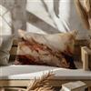 CEVAN Rettangolare Federa Cuscini Letto Federe Cuscino Cotone Grande Seta Modello Marmo, Fodere Quadrati Divano Ufficio Tessuto Premium Rinforzato 50x75cm