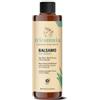 Specchiasol Tricomnia Balsamo Nutriente 200 ml | Balsamo Capelli Secchi con Aloe, Olii di Cocco e Avocado Bio | Ripristina Morbidezza ed Elasticità | Capelli Sani, Forti e Nutriti
