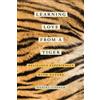 Daniel Capper Learning Love from a Tiger (Copertina rigida)