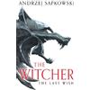 Andrzej Sapkowski The Last Wish (Tascabile) Witcher