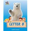 Beth Costanzo Letter B/Bears Activity Workbook for Kids 2-6 (Tascabile)
