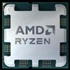 AMD Vassoio SAM5 AMD Ryzen 5-8600G