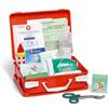 Farmacare Pacchetto Di Medicazione Reintegro Del Pacco Base Completo Allegato 2 Dm 388 Del 15/07/2003