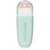 EcoTools Oil-Absorbing 1 pz