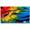 Philips 65 TV ANDROID 4K 350 CD/M² WIFI HDMI MULTIMEDIALE 65HFL6214U/12