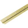 Hettich Cerniera a barra Hettich 900 mm x 20 mm acciaio ottonato
