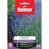 Blumen Semi Blumen lavanda da bordura