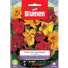 Blumen Semi Blumen nasturzio nano doppio in miscuglio