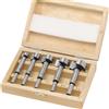 LUXTOOLS Set di punte Forstner 15 - 35 mm 5 pz