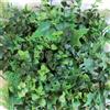 TENAX Siepe artificiale Saltus in polietilene H 1 m x L 0,5 m verde