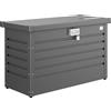 Baule da esterno Biohort Paketbox 100 101x46x61 cm grigio scuro metallizzato