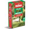 Blumen Semi prato Forte ombreggiato Blumen 1 kg