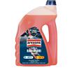 Arexons Liquido protettivo AREXONS radiatori rosso pronto all`uso -20°C 4,5 l