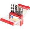 LUX-TOOLS set punte combinate 19 pz