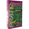 Semi prato Dicondra 500 g