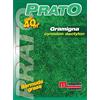 Semi prato Gramigna 500 g