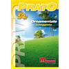 Semi prato ornamentale 1 kg