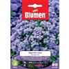 Blumen Semi Agerato nano blu