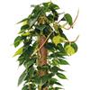 Bastone muschiato 100 cm Ø 50 mm
