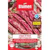 Blumen Semi Blumen Fagioli borlotti nani Lingua di fuoco 250 g