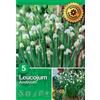 Campanelle Eastivum 5 pz