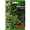 Semi aromi Rucola selvatica