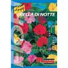 Semi fiori Bella di notte