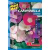 Semi fiori Campanella Ipomea