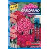 Semi fiori Garofano poeti alto