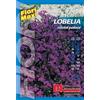 Semi fiori Lobelia cristal